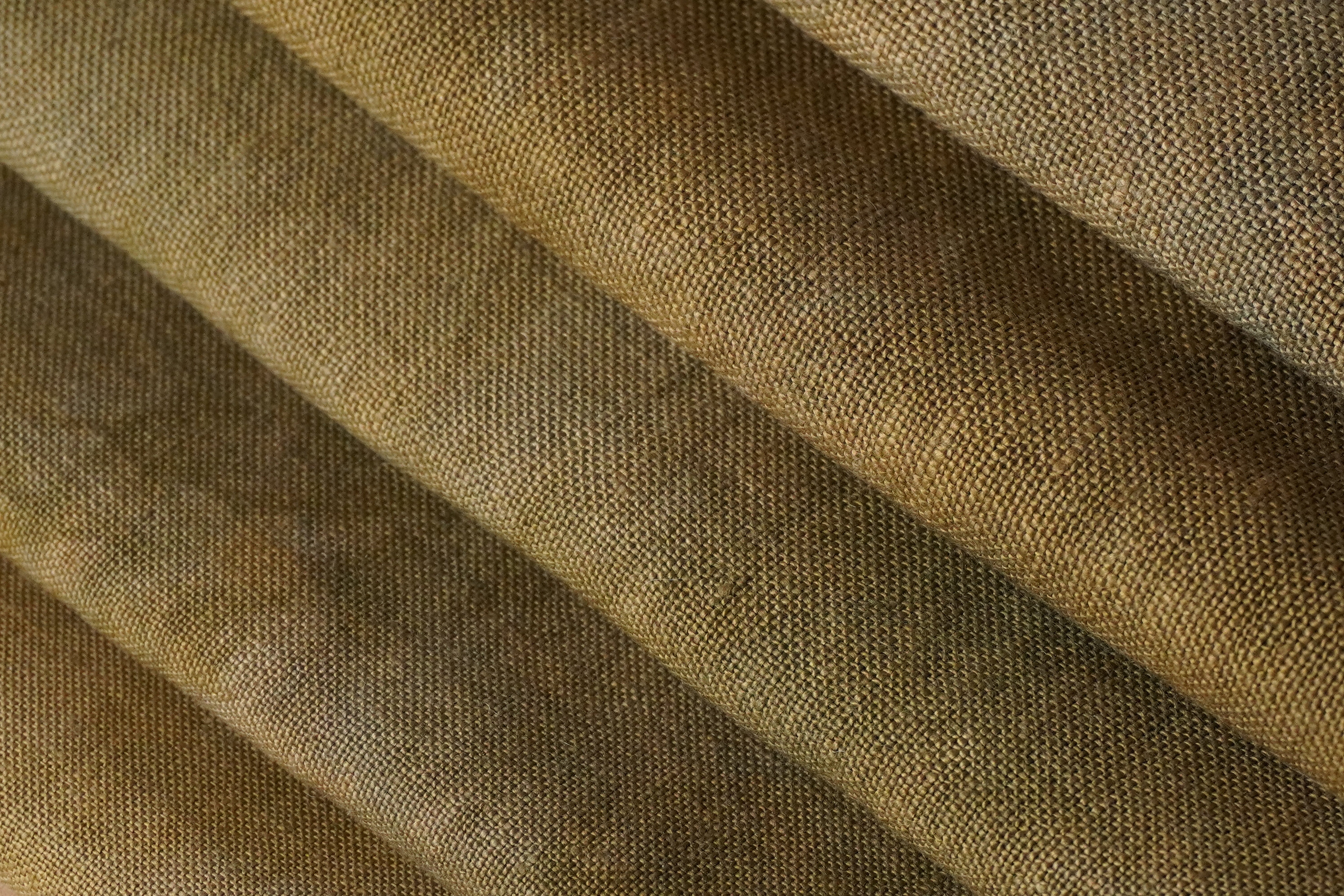 【中古】 Fabric 22 AdamBeyer Arboreal.jpg?v=1761674445